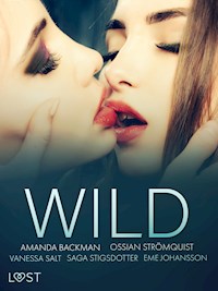 Wild: Eine glühend heiße Erotik-Sammlung - Vanessa Salt - E-Book