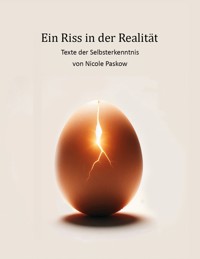 Ein Riss in der Realität - Nicole Paskow - E-Book