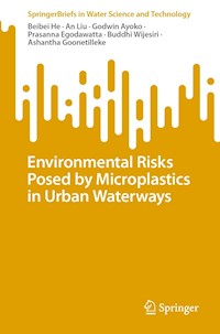 Environmental Risks Posed by Microplastics in Urban Waterways - Beibei He - E-Book