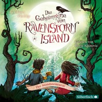 Die Geheimnisse von Ravenstorm Island  3: Der Mondsteinturm - Gillian Philip - Hörbuch