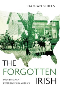 The Forgotten Irish - Damian Shiels - E-Book