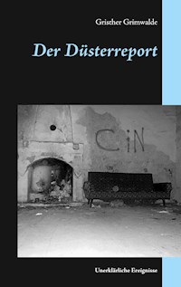 Der Düsterreport - Gristher Grimwalde - E-Book