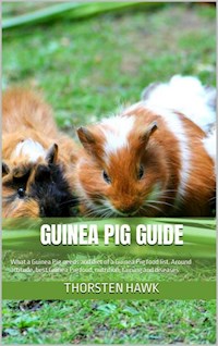 Guinea Pig Guide - Thorsten Hawk - E-Book