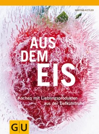 Aus dem Eis - Martina Kittler - E-Book