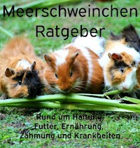 Meerschweinchen Ratgeber. - Powerlifting check - E-Book