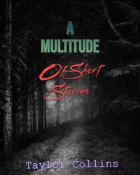 A Multitude of Short Stories - Taylor Collins - E-Book