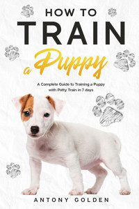 How to Train a Puppy - Antony Golden - E-Book