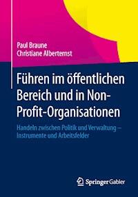 Führen im öffentlichen Bereich und in Non-Profit-Organisationen - Paul Braune - E-Book