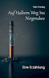 Auf Halbem Weg Ins Nirgendwo - Felix Froning - E-Book