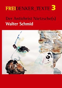 Der Antichrist Nietzsche(s) - Walter Schmid - E-Book