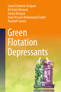 Green Flotation Depressants - Saeed Chehreh Chelgani - E-Book