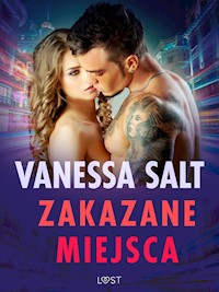 Zakazane miejsca - pięć gorących opowiadań erotycznych - Vanessa Salt - E-Book