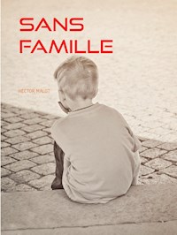 SANS FAMILLE - Hector Malot - E-Book