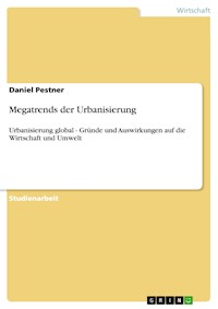 Megatrends der Urbanisierung - Daniel Pestner - E-Book