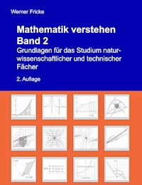 Mathematik verstehen Band 2 - Werner Fricke - E-Book