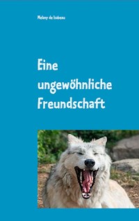 Eine ungewöhnliche Freundschaft - Melany de Isabeau - E-Book