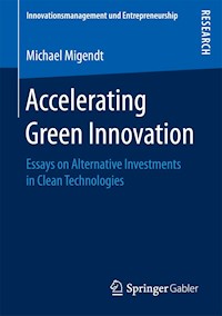 Accelerating Green Innovation - Michael Migendt - E-Book