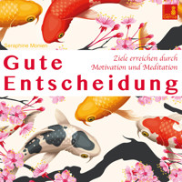 Gute Entscheidung - Ziele erreichen durch Motivation und Meditation - Seraphine Monien - Hörbuch