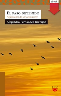 El paso detenido - Alejandro Fernández Barrajón - E-Book
