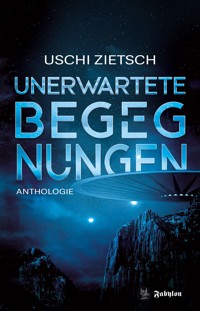 Unerwartete Begegnungen - Uschi Zietsch - E-Book