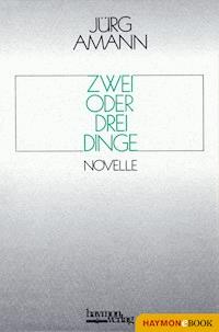 Zwei oder drei Dinge - Jürg Amann - E-Book