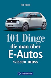 101 Dinge, die man über E-Autos wissen muss - Sven Jürisch - E-Book