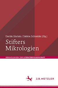 Stifters Mikrologien - - E-Book