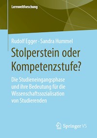 Stolperstein oder Kompetenzstufe? - Rudolf Egger - E-Book