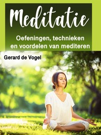 Meditatie - Gerard de Vogel - E-Book