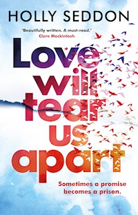 Love Will Tear Us Apart - Holly Seddon - E-Book