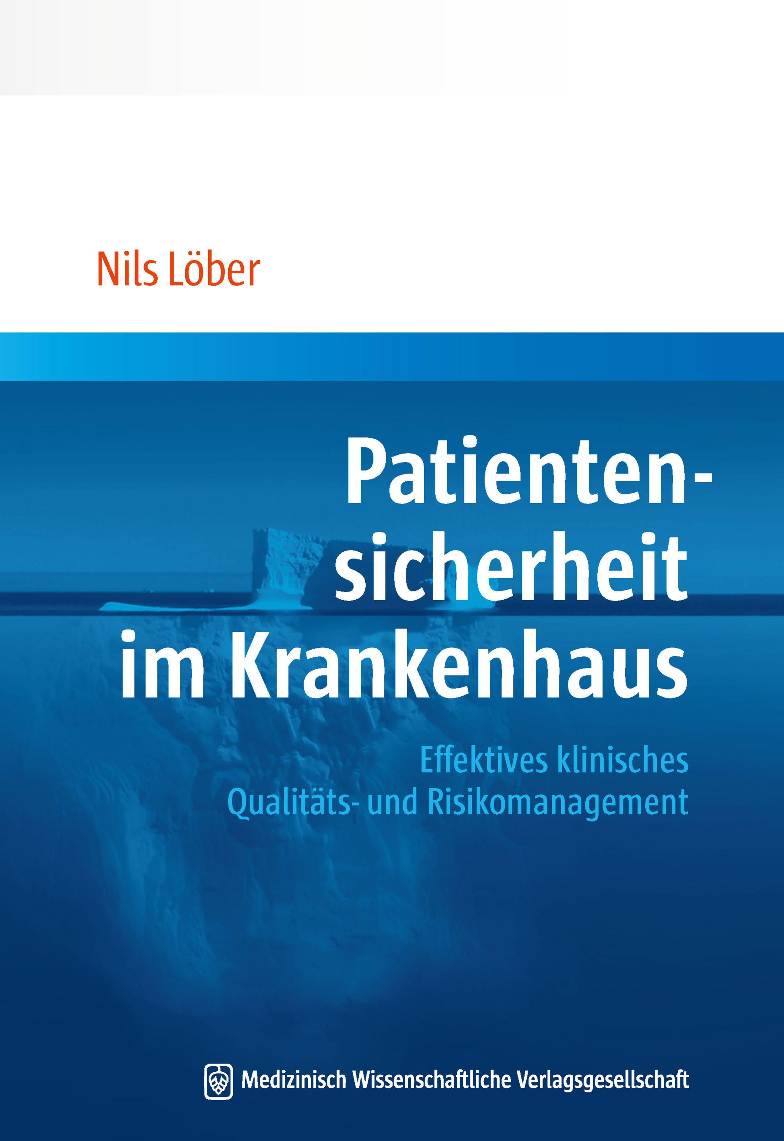 Patientensicherheit im Krankenhaus - Nils Löber - E-Book