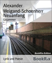Neuanfang - Alexander Weigand Schoenherr - kostenlos E-Book