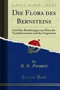 Die Flora des Bernsteins - A. Menge - E-Book