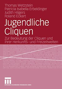 Jugendliche Cliquen - Thomas Wetzstein - E-Book