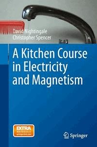A Kitchen Course in Electricity and Magnetism - David Nightingale - E-Book