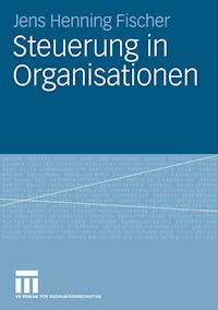 Steuerung in Organisationen - Jens Henning Fischer - E-Book