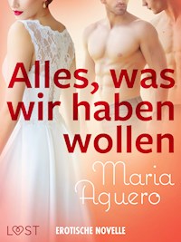 Alles, was wir haben wollen - Erotische Novelle - Maria Aguero - E-Book