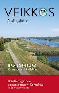 Veikkos Ausflugsführer Band 3 - Veikko Jungbluth - E-Book