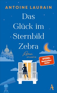 Das Glück im Sternbild Zebra - Antoine Laurain - E-Book