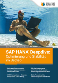 SAP HANA Deepdive: Optimierung und Stabilität im Betrieb - Jens Gleichmann - E-Book