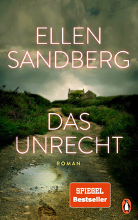 Das Unrecht - Ellen Sandberg - E-Book
