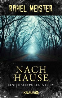 Nach Hause - Rahel Meister - E-Book