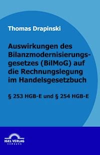 Auswirkungen des Bilanzmodernisierungsgesetzes (BilMoG) auf die Rechnungslegung im Handelsgesetzbuch - Thomas Drapinski - E-Book