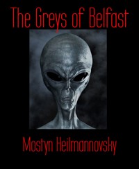 The Greys of Belfast - Mostyn Heilmannovsky - E-Book
