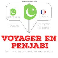 Voyager en penjabi - JM Gardner - Hörbuch
