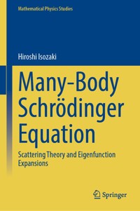 Many-Body Schrödinger Equation - Hiroshi Isozaki - E-Book