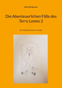 Die Abenteuerlichen Fälle des Terry Lomes 2 - Bodo Königsmann - E-Book