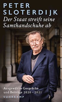 Der Staat streift seine Samthandschuhe ab - Sloterdijk Peter - E-Book
