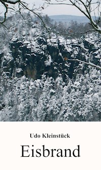 Eisbrand - Udo Kleinstück - E-Book