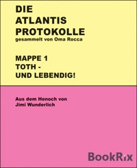 Atlantis-Protokolle - Jimi Wunderlich - E-Book